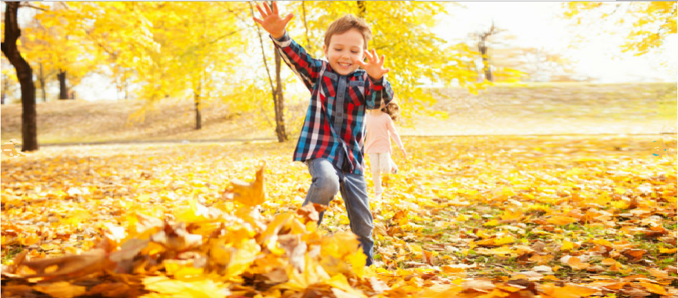 Resultado de imagen de otoño todo esta en todo